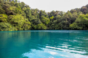 18310619248 4d7a9ec042 b 300x200 18310619248 4d7a9ec042 b