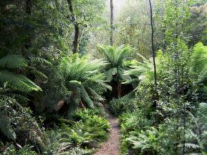 ed91d89b285bdef5a2272b5ef2d6555e ed91d89b285bdef5a2272b5ef2d6555e 300x225 ed91d89b285bdef5a2272b5ef2d6555e